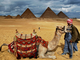 An Egyptian Man Rests His Camel Waiting for Locals and Tourists to Rent It