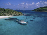 Tobago Crays, the Grenadines