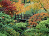 Japanese Gardens, Portland, Oregon, USA