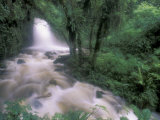 Buy Cascade and Cloud Rainforest, Machu Picchu, Peru at AllPosters.com