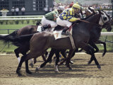 Buy Churchill Downs, Louisville, Kentucky, USA at AllPosters.com
