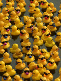 The Make-A-Wish Foundation Releases Rubber Ducks into the Ocean