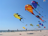 Colorful Kites Dot the Sky