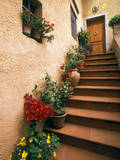 Tuscan Staircase, Italy Photographic Print