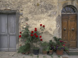 Tuscan Doorway in Castellina in Chianti, Italy