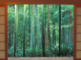 Okochi Sanso, Kyoto, Japan
