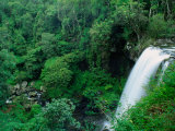 Zillie Falls on Millaa Millaa Waterfall Circuit, Atherton Tablelands, Australia