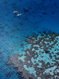 Buy Aerial View of Seaplanes Landed Near Reef, Great Barrier Reef, Australia at AllPosters.com