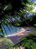 Tropical Foliage and Beach, Seychelles