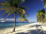 Buy Tropical Beach on Isla de la Juventud, Cuba at AllPosters.com