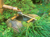 Spring for Tea Ceremony, Sanzen-in Temple, Kyoto, Japan
