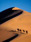 Buy Camel Caravan at Sunset, Silk Road, China at AllPosters.com