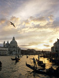 Buy Grand Canal, Santa Maria della Salute Church, Gondolas, Venice, Italy at AllPosters.com
