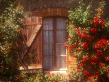 House with Summer Roses in Bloom, Vaucluse, France