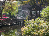 Buy Landscape of Traditional Chinese Garden, Shanghai, China at AllPosters.com
