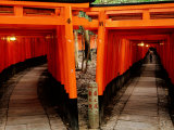 Torri Gates Lining Mountain Pathways at Fushimi-Inari, Kyoto, Japan