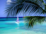 Palm Tree, Swimmers and a Boat at the Beach, Waikiki, U.S.A.