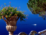 Flowers in Bloom on Terrace of Hotel San Pietro, Positano, Italy