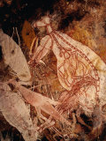 Aboriginal Rock Art Painting of a White Kangaroo at Karbenadjarlnglawe, Kudjekbinj, Australia