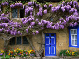 Cottage with Wisteria in Flower, Broadway, United Kingdom