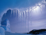 Buy Icicles Hanging from Iceberg Near Browning Peninsula, Wilkes Land, Antarctica at AllPosters.com