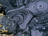 Buy Bubbling Mud Pot in Bumpass Geothermal Area, Lassen Volcanic National Park, U.S.A. at AllPosters.com