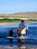 Buy Cowboy Leading Foal Across a River, Aspen, U.S.A. at AllPosters.com