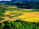 Napa Valley View, Napa Valley, United States of America