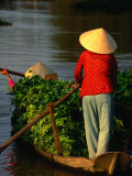 Buy Women Rowing Boat Piled with Vegetables along Mekong Delta, Vietnam at AllPosters.com