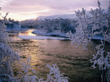 Buy Snowy Riverscape, Vindelfjallen Nr, Umea, Sweden at AllPosters.com