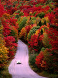 Buy Car on Road at Autumn, USA at AllPosters.com