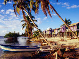 Buy Holiday Accomodation Overlooking Palms and Mangroves, Belize at AllPosters.com