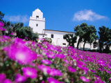 Flowerbed and Junipero Serra Museum, Presidio Park, Old Town, San Diego, United States of America