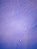 Buy Snowboarder in Shemshak Ski System, Shemshak, Alborz Mountain Range, Tehran, Iran at AllPosters.com