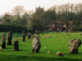 Section of 5500 Year Old Stonecircle Enclosing Village, Avebury, United Kingdom