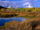 Buy Trees and Lake During Autumn with Mt. Moran in Distance, Grand Teton National Park, USA at AllPosters.com
