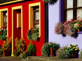Cottage Facades Decorated with Flowers, Eyeries, Ireland