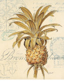 Artist's Pineapple