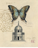 Butterfly Etching