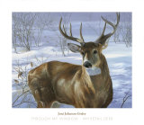 Through My Window: Whitetail Deer