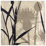 Buy Botanical Elements III at AllPosters.com
