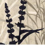Buy Botanical Elements I at AllPosters.com