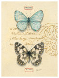 Duet Papillon