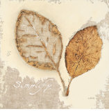 Buy Natural Simplicity at AllPosters.com