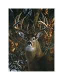 Buy An Autumn Gentleman at AllPosters.com