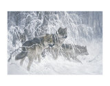 Buy Edge of Winter (detail) at AllPosters.com