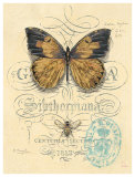 Buy Honeybee Papillon at AllPosters.com