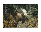 Buy Calm Before the Challenge at AllPosters.com