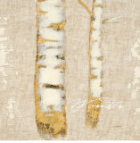Buy Natural Wonder at AllPosters.com