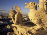 Buy Gargoyles of the Notre Dame Cathedral, Paris, France at AllPosters.com